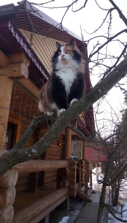 Agrousad'Ba Okolitsa Otel Shchibri Dış mekan fotoğraf